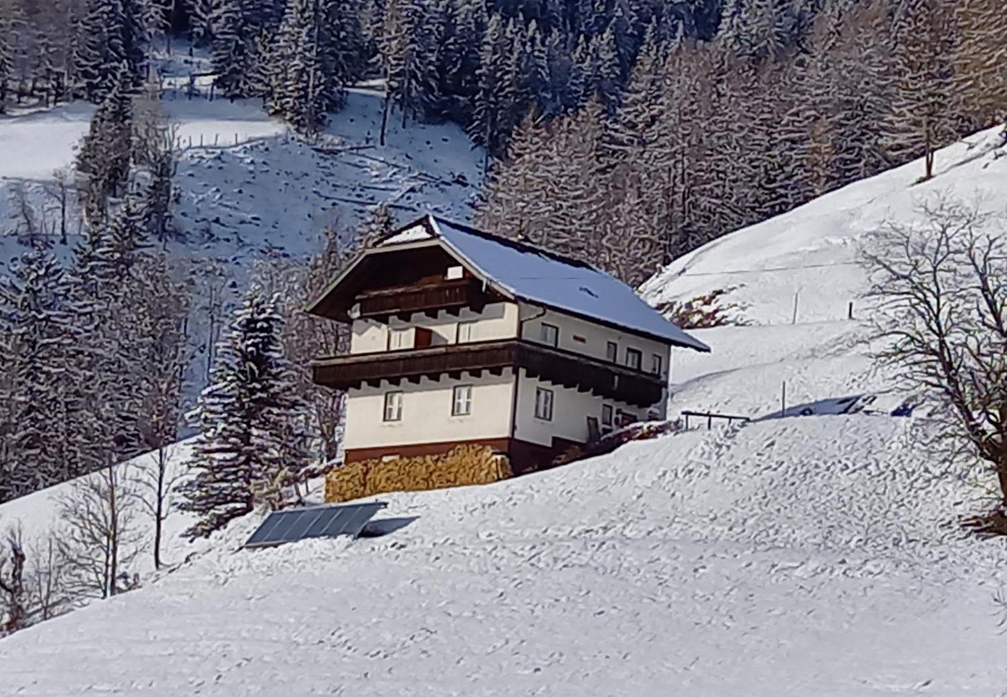 Tischnerhof Appartements Bad Kleinkirchheim Exterior foto